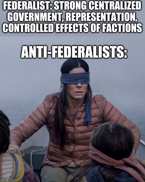 Bird Box | FEDERALIST: STRONG CENTRALIZED GOVERNMENT, REPRESENTATION, CONTROLLED EFFECTS OF FACTIONS; ANTI-FEDERALISTS: | image tagged in memes,bird box | made w/ Imgflip meme maker