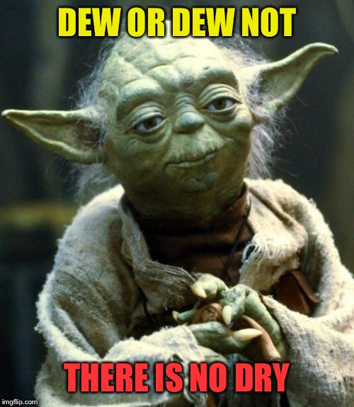 Yoda is out of ginger ale. | DEW OR DEW NOT; THERE IS NO DRY | image tagged in memes,star wars yoda | made w/ Imgflip meme maker