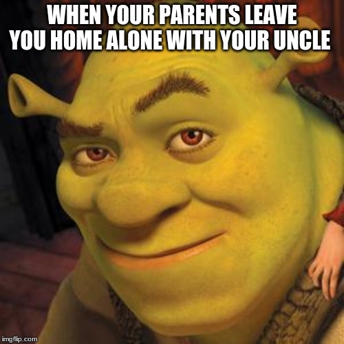 Shrek Sexy Face | WHEN YOUR PARENTS LEAVE YOU HOME ALONE WITH YOUR UNCLE | image tagged in shrek sexy face | made w/ Imgflip meme maker