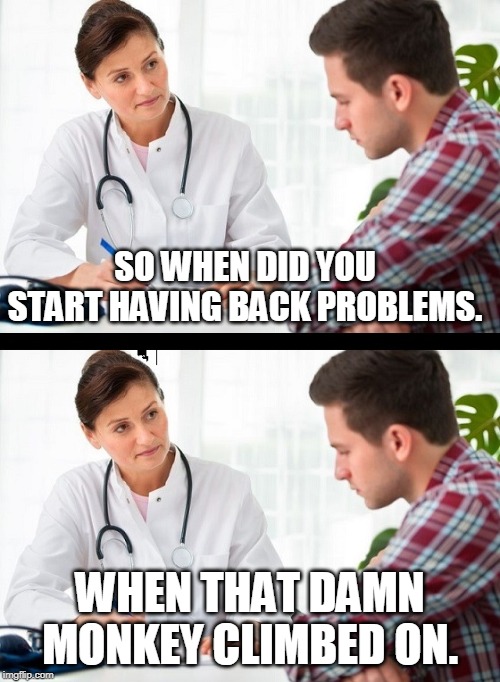 Get off my back! | SO WHEN DID YOU START HAVING BACK PROBLEMS. WHEN THAT DAMN MONKEY CLIMBED ON. | image tagged in doctor and patient | made w/ Imgflip meme maker