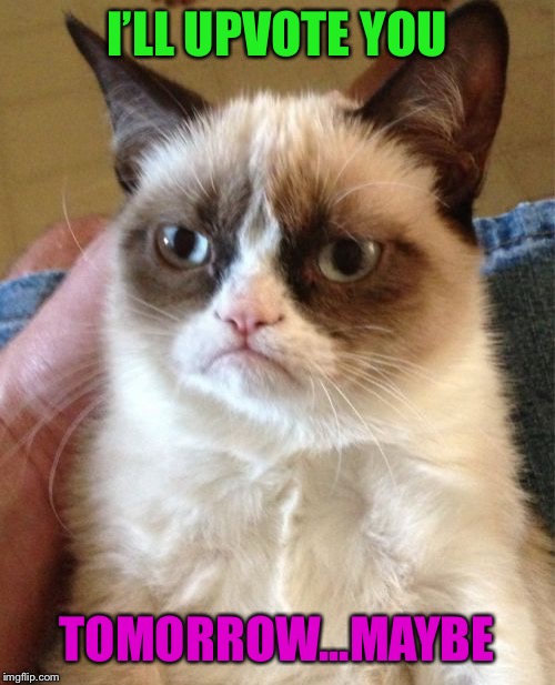 Grumpy Cat Meme | I’LL UPVOTE YOU TOMORROW...MAYBE | image tagged in memes,grumpy cat | made w/ Imgflip meme maker