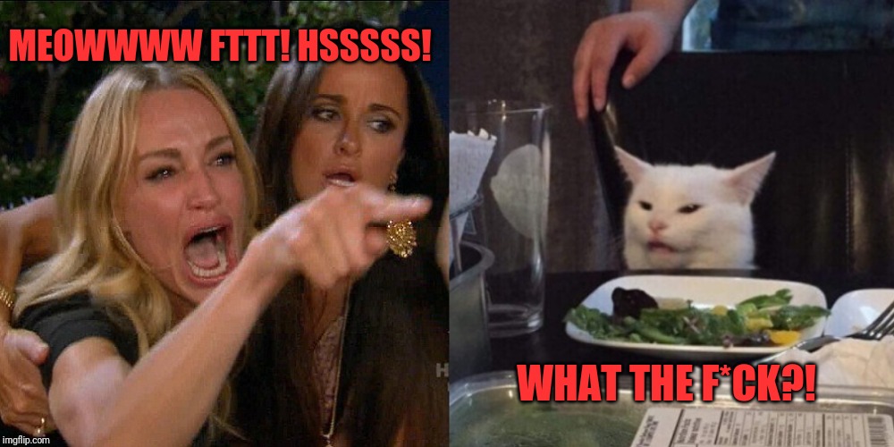 Woman yelling at cat | MEOWWWW FTTT! HSSSSS! WHAT THE F*CK?! | image tagged in woman yelling at cat | made w/ Imgflip meme maker