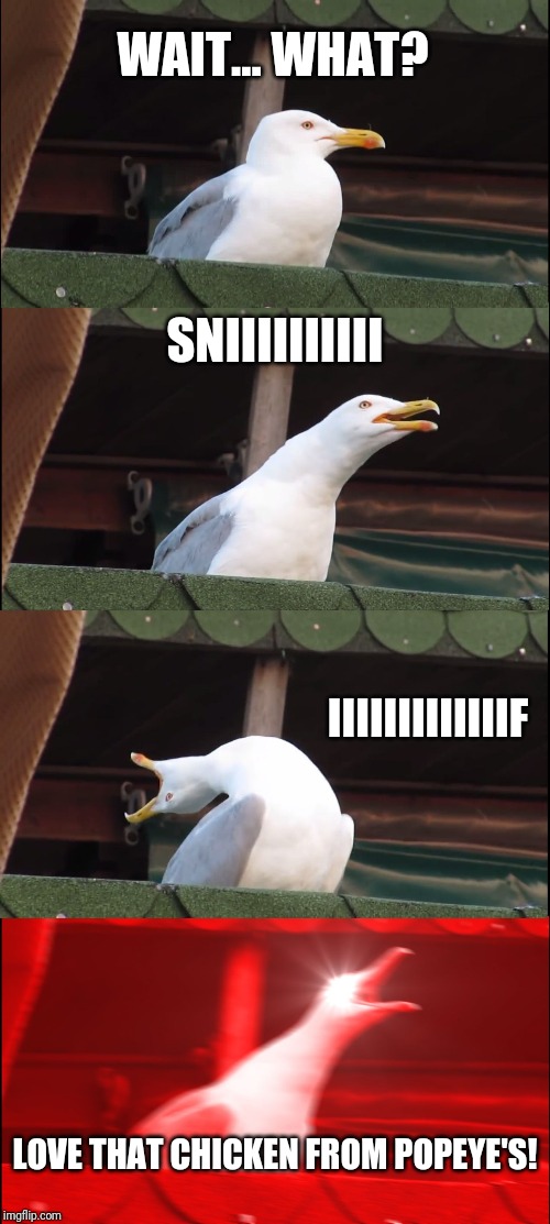 Inhaling Seagull | WAIT... WHAT? SNIIIIIIIIII; IIIIIIIIIIIIIF; LOVE THAT CHICKEN FROM POPEYE'S! | image tagged in memes,inhaling seagull | made w/ Imgflip meme maker