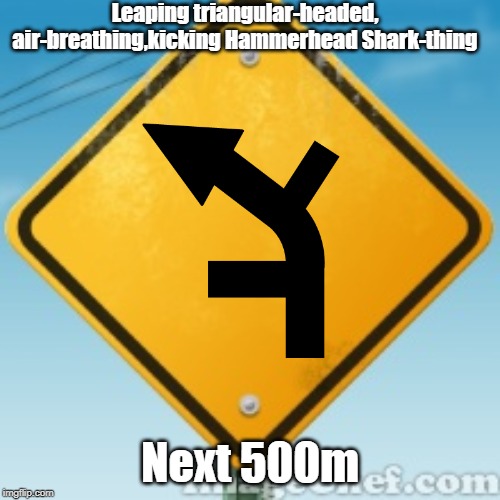 What it looked like when I saw a similar sign the other day... | Leaping triangular-headed, air-breathing,kicking Hammerhead Shark-thing; Next 500m | image tagged in yellow road sign | made w/ Imgflip meme maker
