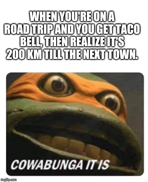 WHEN YOU'RE ON A ROAD TRIP AND YOU GET TACO BELL, THEN REALIZE IT'S 200 KM TILL THE NEXT TOWN. | image tagged in teenage mutant ninja turtles | made w/ Imgflip meme maker