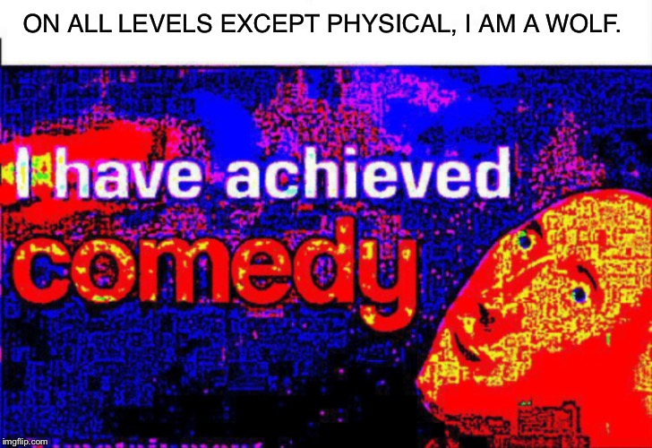I have achieved comedy | ON ALL LEVELS EXCEPT PHYSICAL, I AM A WOLF. | image tagged in i have achieved comedy,memes,stonks,wolf | made w/ Imgflip meme maker