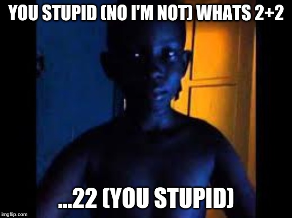 Whats 9+10 | YOU STUPID (NO I'M NOT) WHATS 2+2; ...22 (YOU STUPID) | image tagged in whats 910 | made w/ Imgflip meme maker