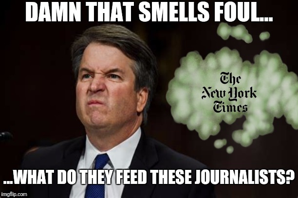 DAMN THAT SMELLS FOUL... ...WHAT DO THEY FEED THESE JOURNALISTS? | made w/ Imgflip meme maker