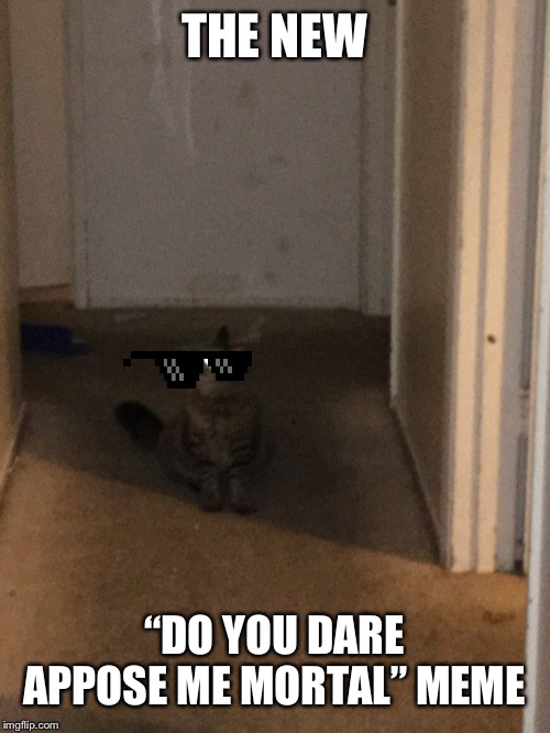 Cats be demons | THE NEW “DO YOU DARE APPOSE ME MORTAL” MEME | image tagged in cats be demons | made w/ Imgflip meme maker