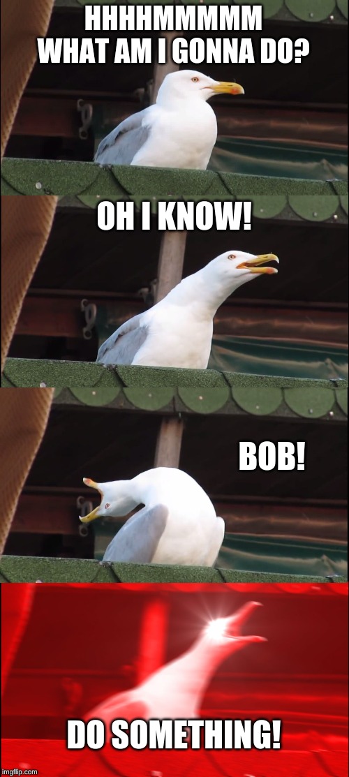 Inhaling Seagull Meme | HHHHMMMMM
WHAT AM I GONNA DO? OH I KNOW! BOB! DO SOMETHING! | image tagged in memes,inhaling seagull | made w/ Imgflip meme maker