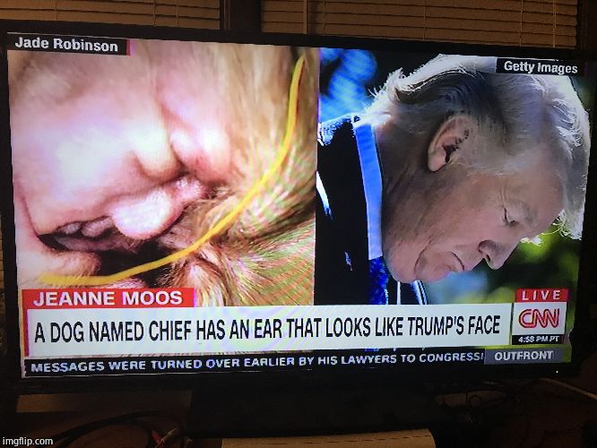 image tagged in cnn,fake news store | made w/ Imgflip meme maker