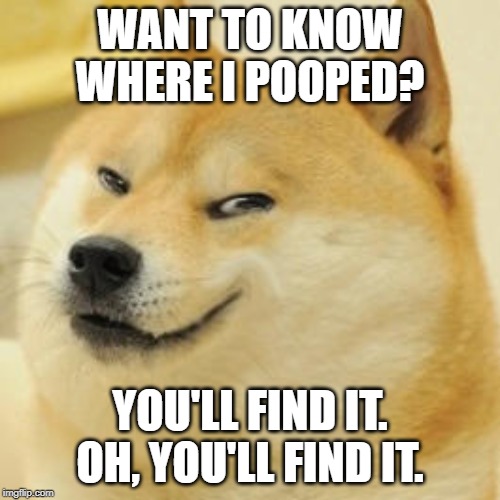 evil doge | WANT TO KNOW WHERE I POOPED? YOU'LL FIND IT. OH, YOU'LL FIND IT. | image tagged in evil doge | made w/ Imgflip meme maker