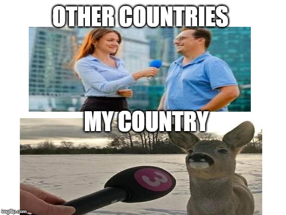 Other countries VS. my country | OTHER COUNTRIES; MY COUNTRY | image tagged in deer,interview,vs,normal,country | made w/ Imgflip meme maker