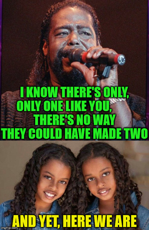 Barry White's Lyrical Mistake? | I KNOW THERE'S ONLY, ONLY ONE LIKE YOU,         
THERE'S NO WAY THEY COULD HAVE MADE TWO; AND YET, HERE WE ARE | image tagged in barry white,memes,song lyrics,twins,what if i told you,there can be only one | made w/ Imgflip meme maker