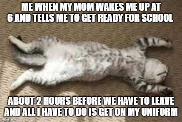 Play Dead Cat | ME WHEN MY MOM WAKES ME UP AT 6 AND TELLS ME TO GET READY FOR SCHOOL; ABOUT 2 HOURS BEFORE WE HAVE TO LEAVE AND ALL I HAVE TO DO IS GET ON MY UNIFORM | image tagged in play dead cat | made w/ Imgflip meme maker