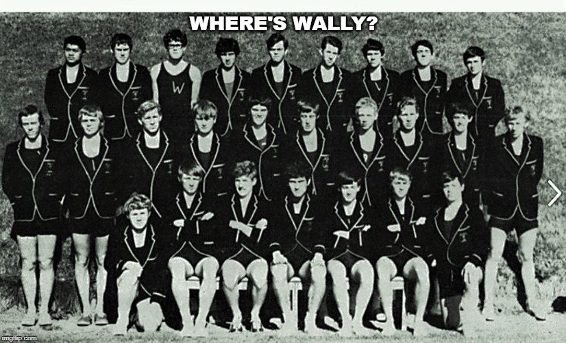Wally | WHERE'S WALLY? | image tagged in wally | made w/ Imgflip meme maker