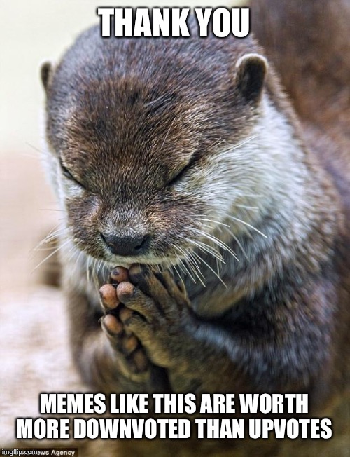 Thank you Lord Otter | THANK YOU MEMES LIKE THIS ARE WORTH MORE DOWNVOTED THAN UPVOTES | image tagged in thank you lord otter | made w/ Imgflip meme maker