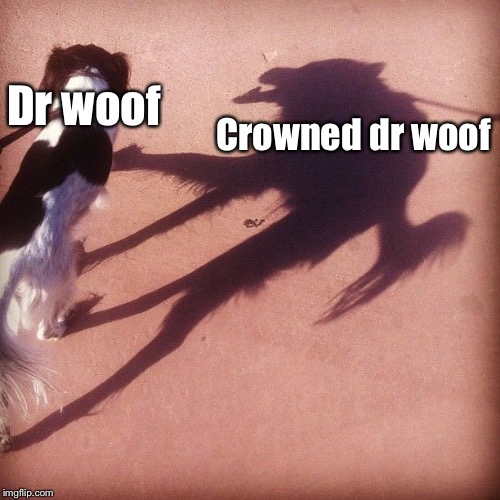 Crowned dr woof; Dr woof | made w/ Imgflip meme maker