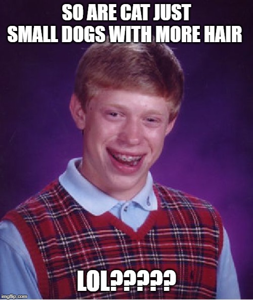 Bad Luck Brian | SO ARE CAT JUST SMALL DOGS WITH MORE HAIR; LOL????? | image tagged in memes,bad luck brian | made w/ Imgflip meme maker