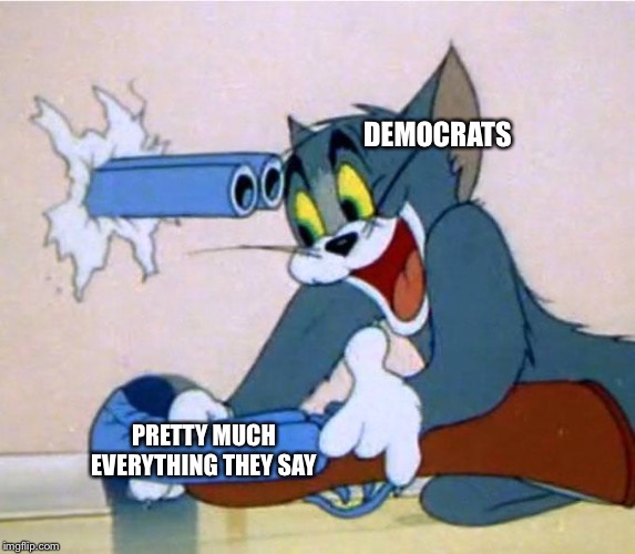 Grabbing guns, raising taxes, taking away healthcare, open borders... | DEMOCRATS; PRETTY MUCH EVERYTHING THEY SAY | image tagged in democrats | made w/ Imgflip meme maker
