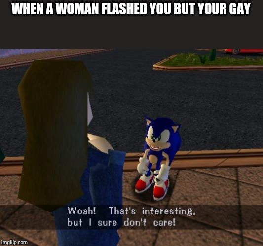 Woah thats interesting but I sure don't care | WHEN A WOMAN FLASHED YOU BUT YOUR GAY | image tagged in woah thats interesting but i sure don't care | made w/ Imgflip meme maker