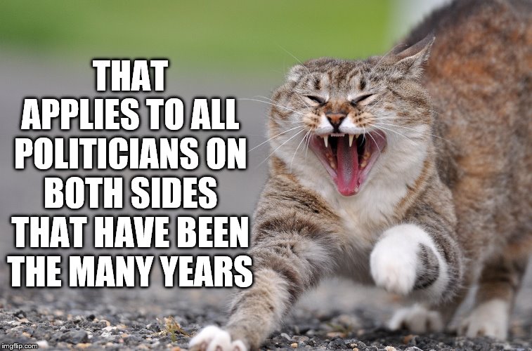 pissed cat | THAT APPLIES TO ALL POLITICIANS ON BOTH SIDES THAT HAVE BEEN THE MANY YEARS | image tagged in pissed cat | made w/ Imgflip meme maker