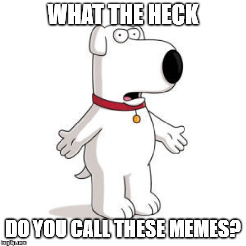 Family Guy Brian |  WHAT THE HECK; DO YOU CALL THESE MEMES? | image tagged in memes,family guy brian | made w/ Imgflip meme maker
