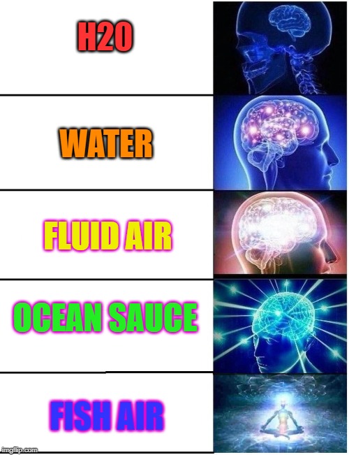 The Different Nicknames for H20 | H20; WATER; FLUID AIR; OCEAN SAUCE; FISH AIR | image tagged in expanding brain 5 panel | made w/ Imgflip meme maker