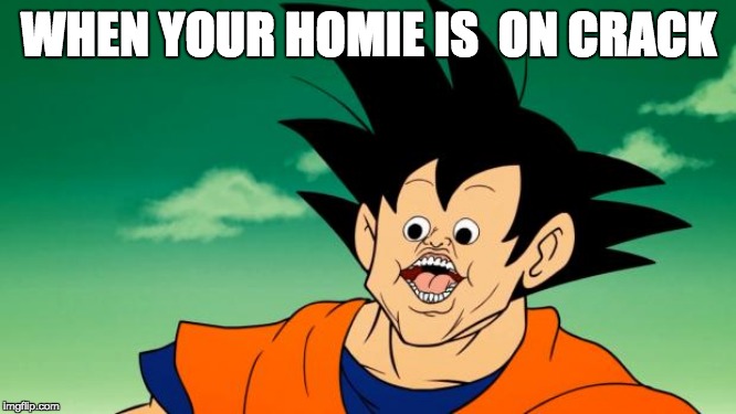 Derpy Interest Goku | WHEN YOUR HOMIE IS  ON CRACK | image tagged in derpy interest goku | made w/ Imgflip meme maker