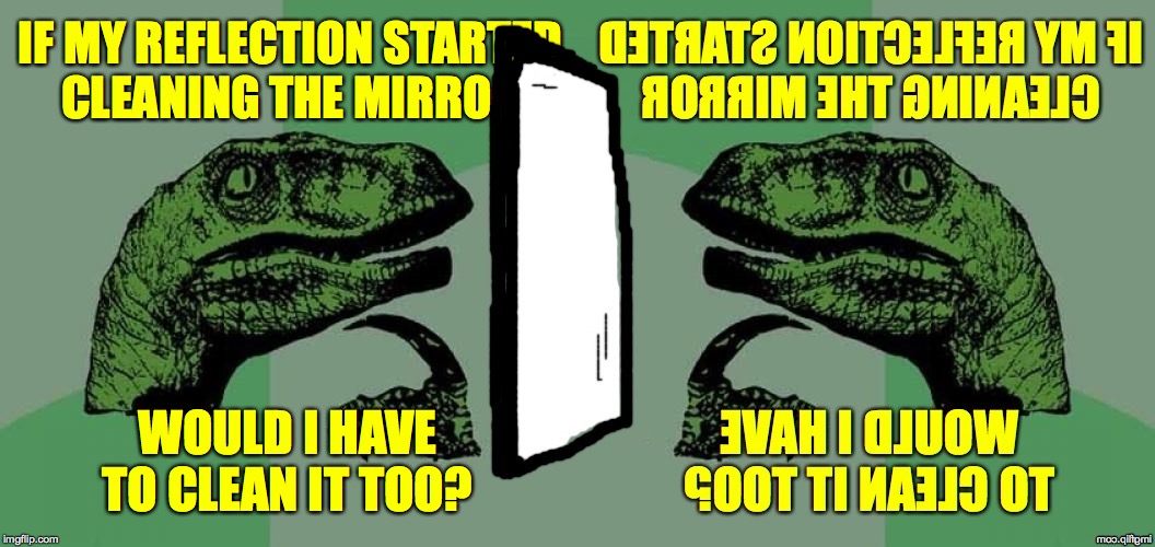 It being so dirty is a poor reflection on both of us  ( : | IF MY REFLECTION STARTED
CLEANING THE MIRRO; WOULD I HAVE TO CLEAN IT TOO? | image tagged in memes,mirrors,be ready,philosoraptor | made w/ Imgflip meme maker