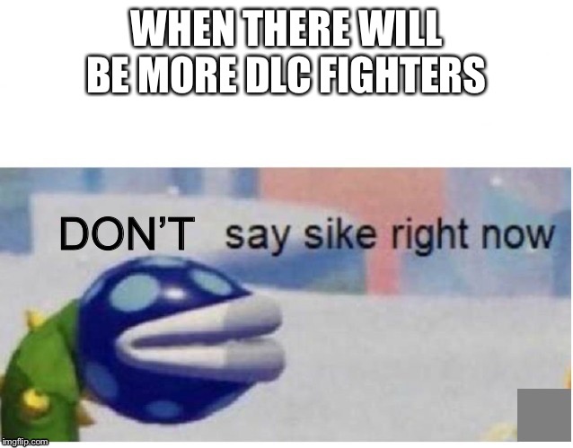 say sike right now | WHEN THERE WILL BE MORE DLC FIGHTERS DON’T | image tagged in say sike right now | made w/ Imgflip meme maker