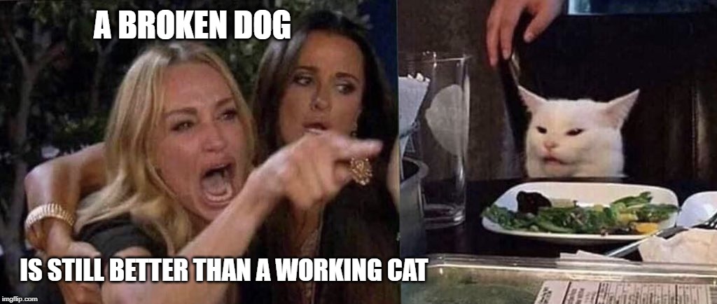 woman yelling at cat | A BROKEN DOG IS STILL BETTER THAN A WORKING CAT | image tagged in woman yelling at cat | made w/ Imgflip meme maker