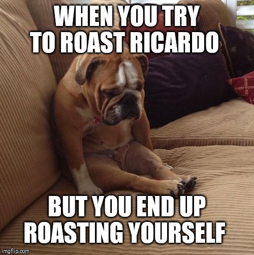 bulldogsad | WHEN YOU TRY TO ROAST RICARDO BUT YOU END UP ROASTING YOURSELF | image tagged in bulldogsad | made w/ Imgflip meme maker