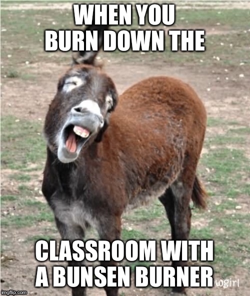 WHEN YOU BURN DOWN THE; CLASSROOM WITH A BUNSEN BURNER | image tagged in funny meme | made w/ Imgflip meme maker