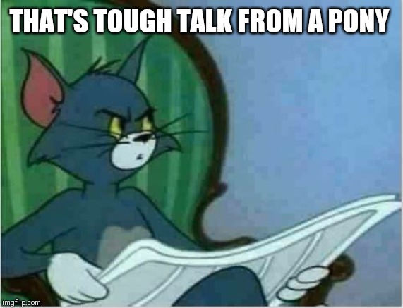 Interrupting Tom's Read | THAT'S TOUGH TALK FROM A PONY | image tagged in interrupting tom's read | made w/ Imgflip meme maker