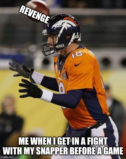 Advice To QB's To Not Fight With Snappers | REVENGE; ME WHEN I GET IN A FIGHT WITH MY SNAPPER BEFORE A GAME | image tagged in professional football guy,quarterback,football,peyton manning,sports | made w/ Imgflip meme maker