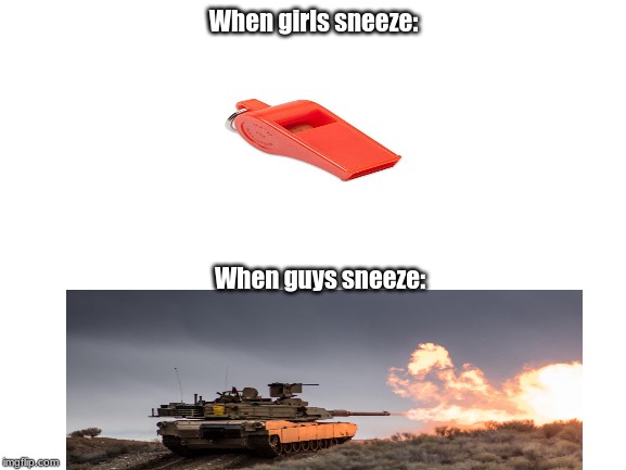 Sneeze comparison #2 | When girls sneeze:; When guys sneeze: | image tagged in blank white template,funny,memes | made w/ Imgflip meme maker