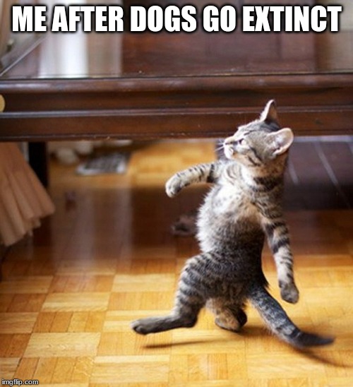 BYE BYE DOGS GIVE ME UPVOTES | ME AFTER DOGS GO EXTINCT | image tagged in cat walking like a boss | made w/ Imgflip meme maker