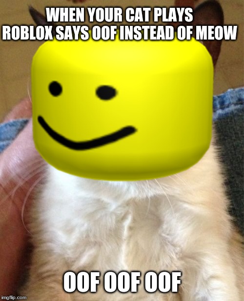 Image Tagged In Roblox Meme Imgflip