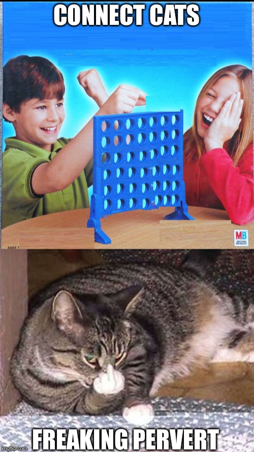 CONNECT CATS YOU DUMBASS | CONNECT CATS; FREAKING PERVERT | image tagged in blank connect four,cat,pervert,middle finger | made w/ Imgflip meme maker