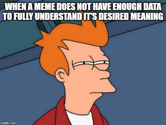 Futurama Fry Meme | WHEN A MEME DOES NOT HAVE ENOUGH DATA TO FULLY UNDERSTAND IT'S DESIRED MEANING | image tagged in memes,futurama fry | made w/ Imgflip meme maker