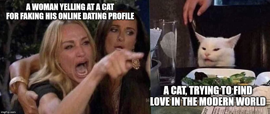 woman yelling at cat | A WOMAN YELLING AT A CAT FOR FAKING HIS ONLINE DATING PROFILE; A CAT, TRYING TO FIND LOVE IN THE MODERN WORLD | image tagged in woman yelling at cat | made w/ Imgflip meme maker