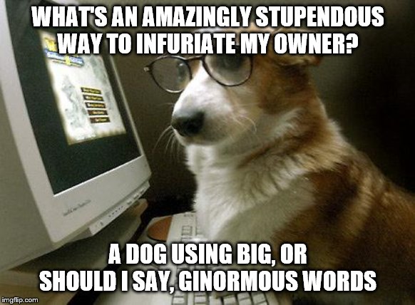 Smart Dog | WHAT'S AN AMAZINGLY STUPENDOUS WAY TO INFURIATE MY OWNER? A DOG USING BIG, OR SHOULD I SAY, GINORMOUS WORDS | image tagged in smart dog | made w/ Imgflip meme maker