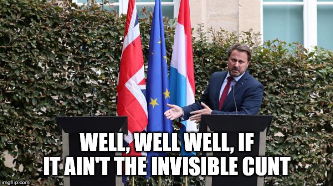 WELL, WELL WELL, IF IT AIN'T THE INVISIBLE CUNT | made w/ Imgflip meme maker