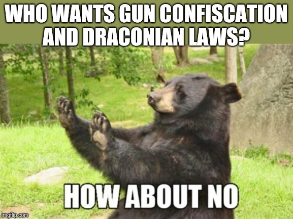 How About No Bear | WHO WANTS GUN CONFISCATION AND DRACONIAN LAWS? | image tagged in memes,how about no bear | made w/ Imgflip meme maker