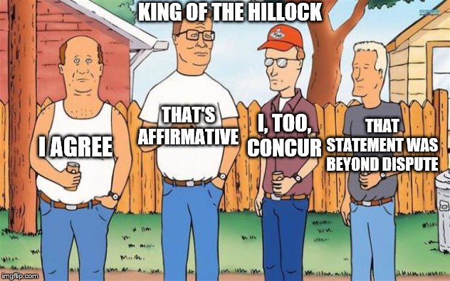 King of the Hill | I AGREE THAT'S AFFIRMATIVE I, TOO, CONCUR THAT STATEMENT WAS BEYOND DISPUTE KING OF THE HILLOCK | image tagged in king of the hill | made w/ Imgflip meme maker