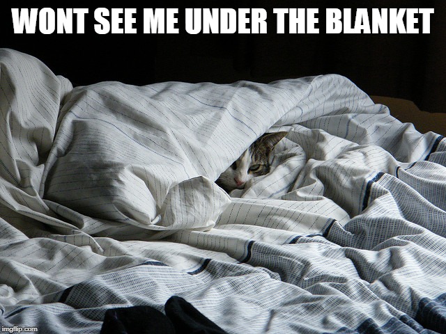 WONT SEE ME UNDER THE BLANKET | made w/ Imgflip meme maker