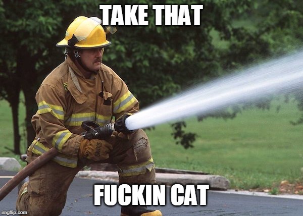 TAKE THAT F**KIN CAT | made w/ Imgflip meme maker