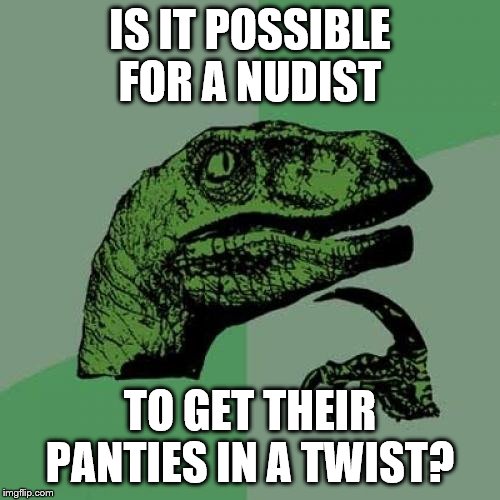 Philosoraptor | IS IT POSSIBLE FOR A NUDIST; TO GET THEIR PANTIES IN A TWIST? | image tagged in memes,philosoraptor,nudist | made w/ Imgflip meme maker