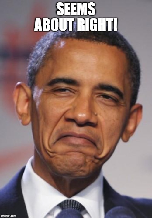 obamas funny face | SEEMS ABOUT RIGHT! | image tagged in obamas funny face | made w/ Imgflip meme maker